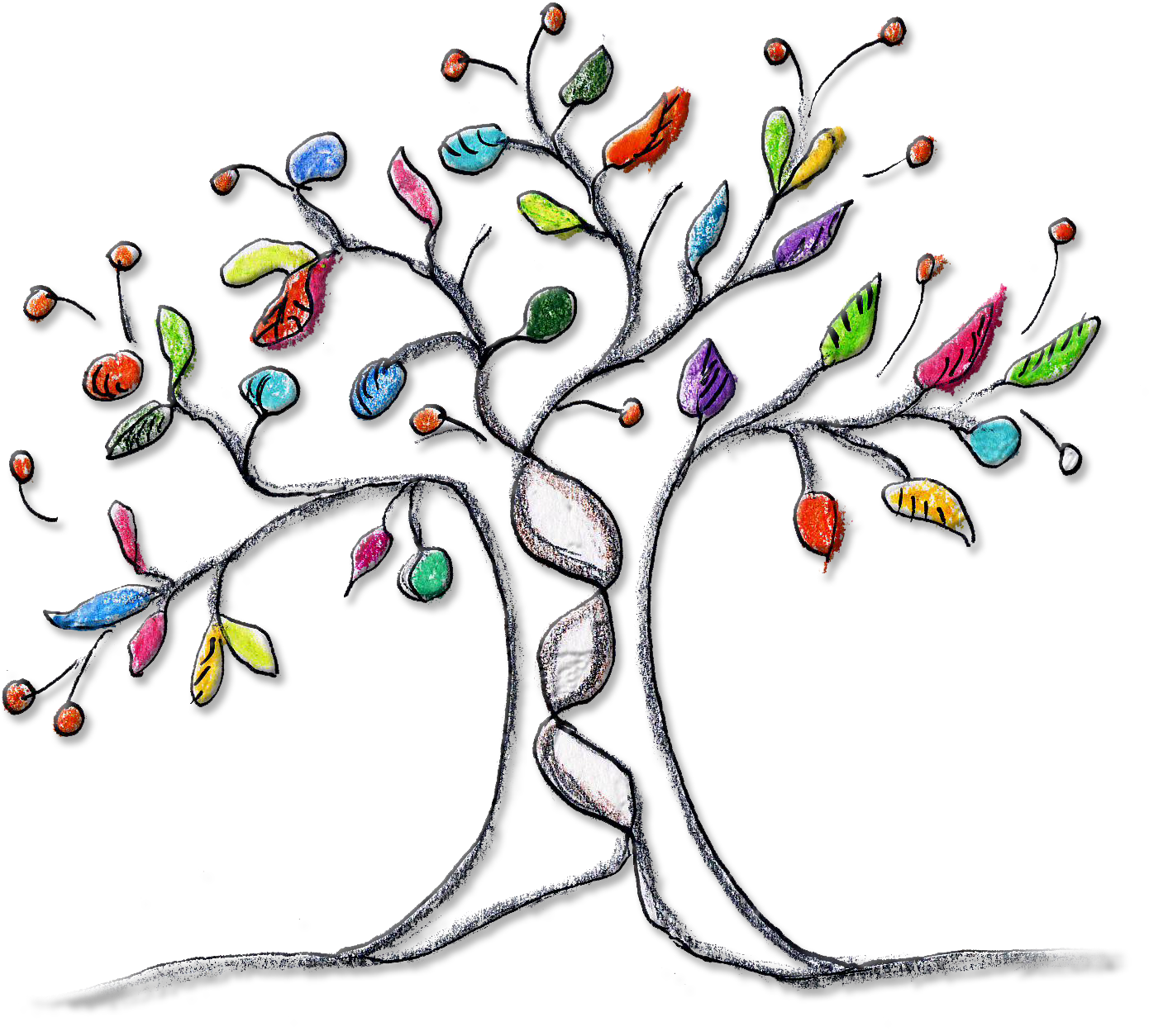 arbre transparent